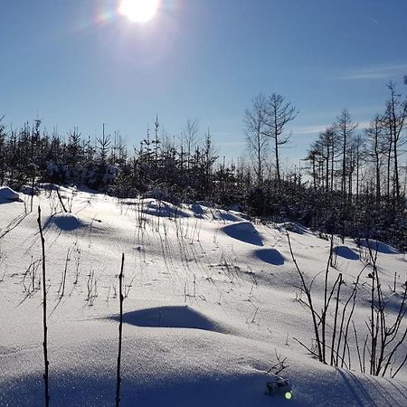 Chata Na Kovarne Rymarov Luaran gambar