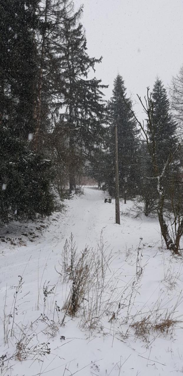Chata Na Kovarne Rymarov Luaran gambar